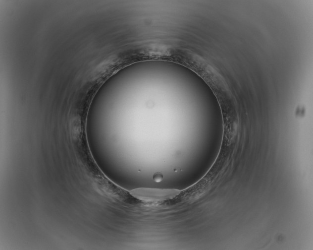 X0000097470704200802221236