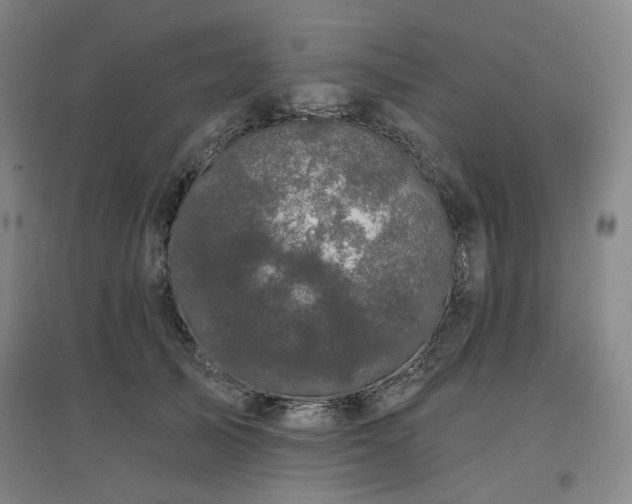 X0000097470705200802221236