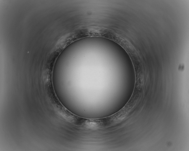X0000097470706200802221236