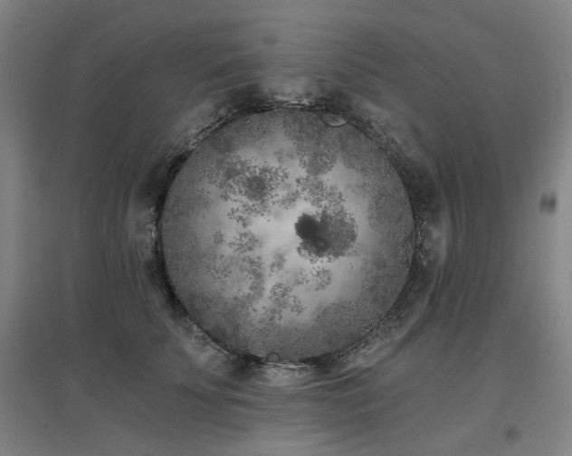 X0000097470707200802221236