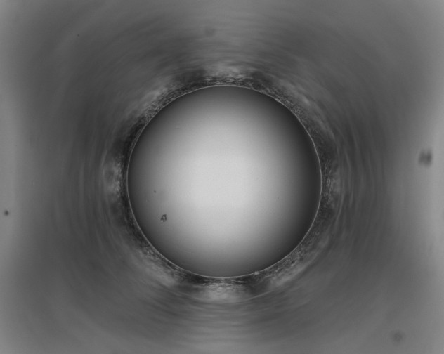 X0000097470708200802221236
