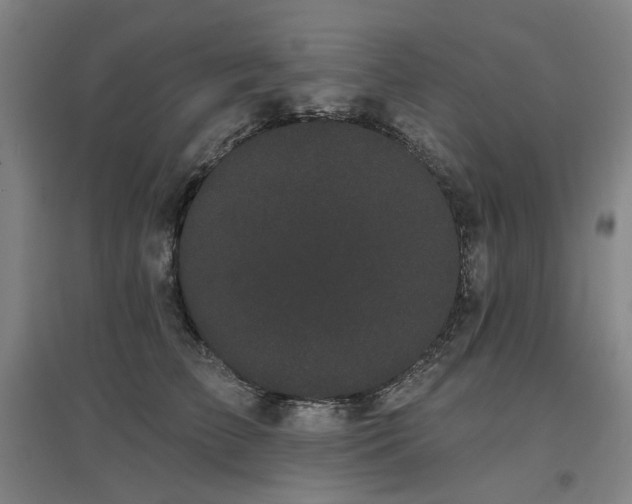 X0000097470709200802221236