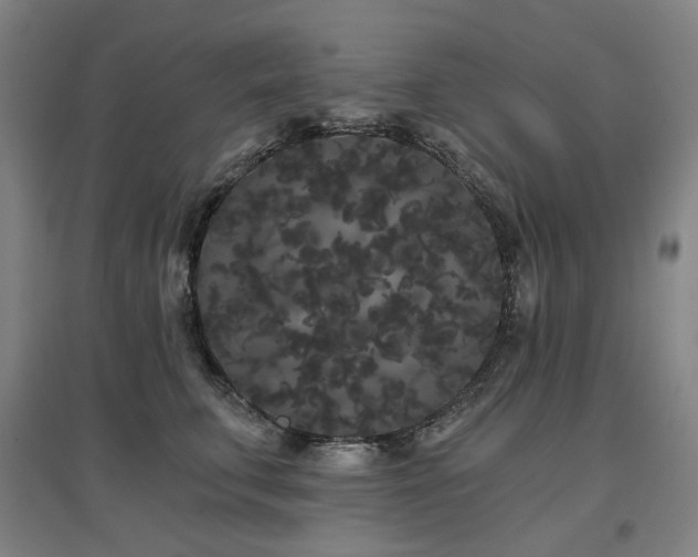 X0000097470711200802221236
