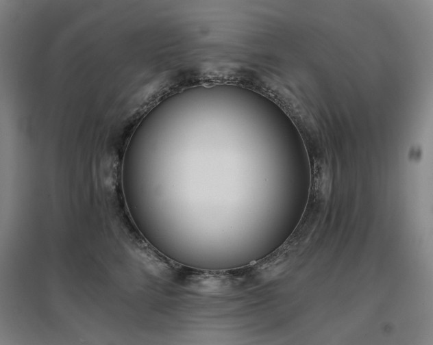X0000097470712200802221236