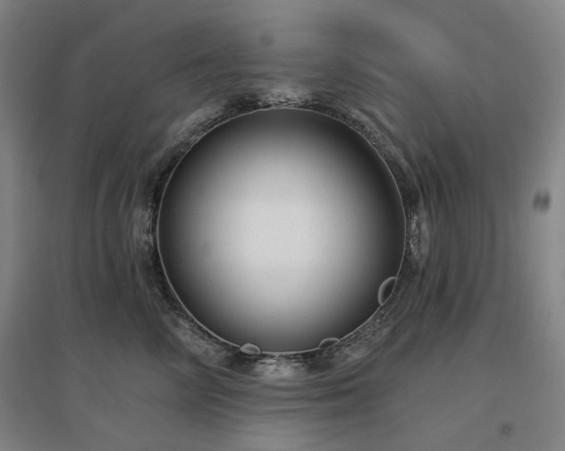 X0000097470714200802221236
