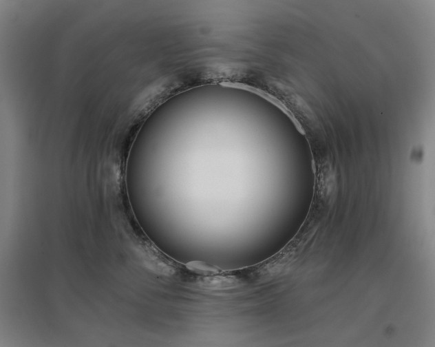 X0000097470716200802221236