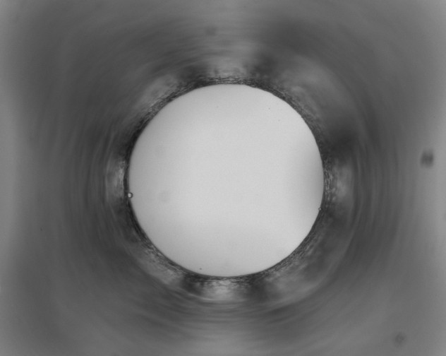X0000097470717200802221236