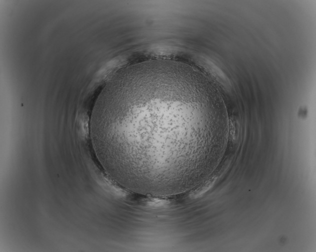 X0000097470718200802221236