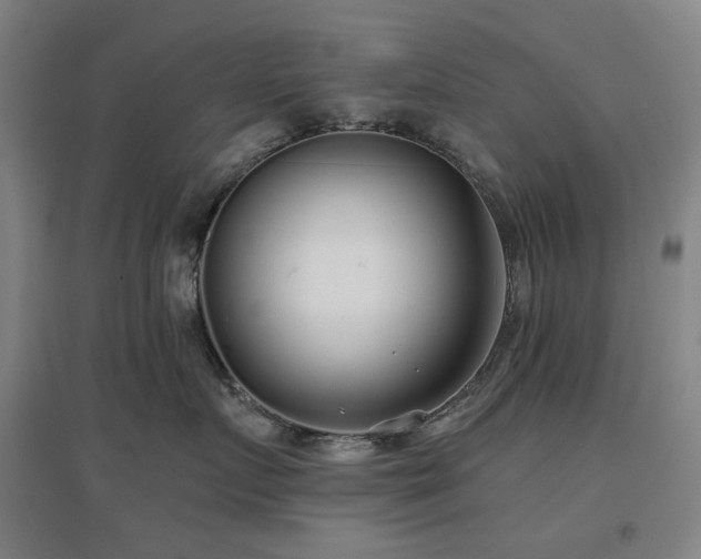 X0000097470719200802221236