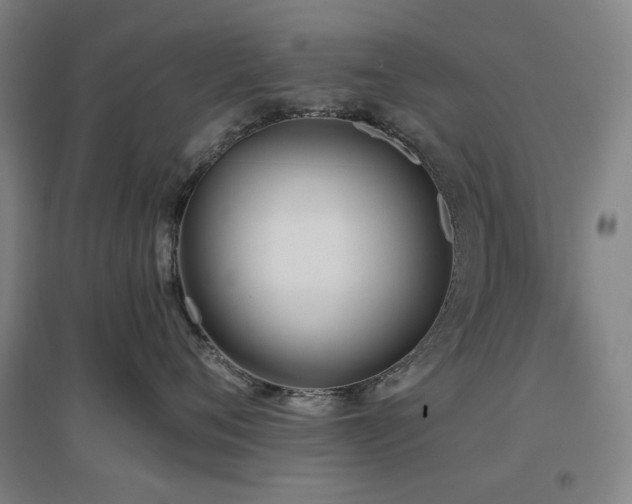 X0000097470720200802221236