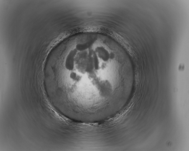 X0000097470721200802221235