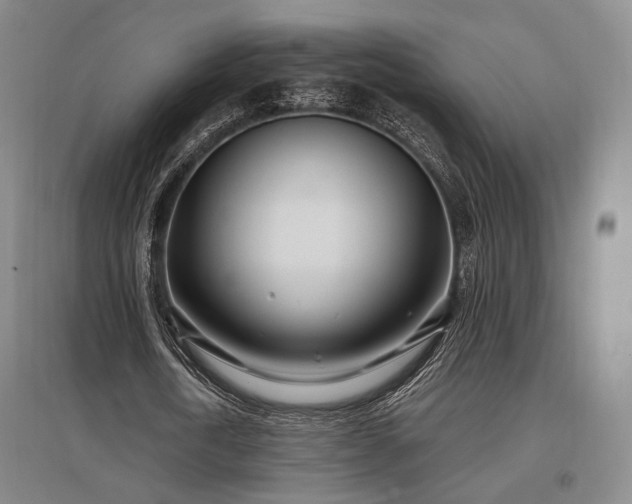 X0000097470722200802221235