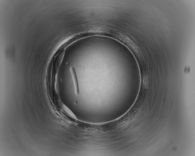 X0000097470724200802221235