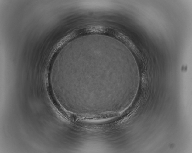 X0000097470725200802221235