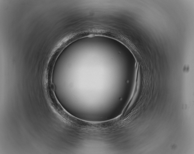 X0000097470726200802221235