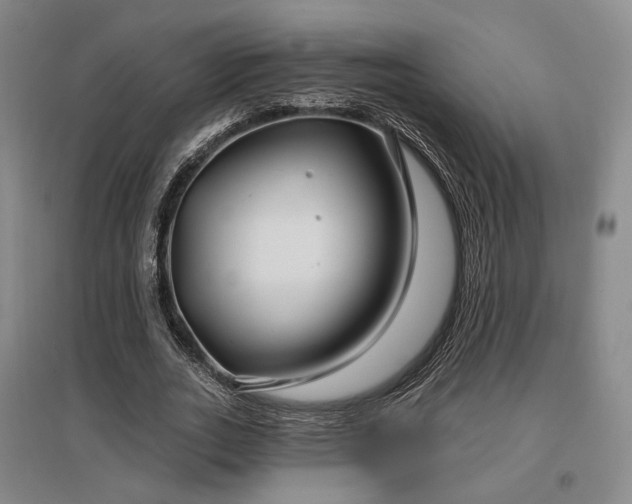 X0000097470727200802221235