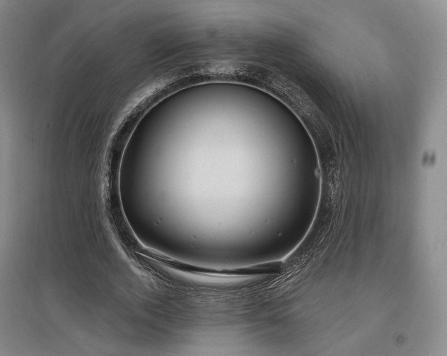 X0000097470728200802221235