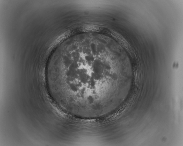 X0000097470729200802221235