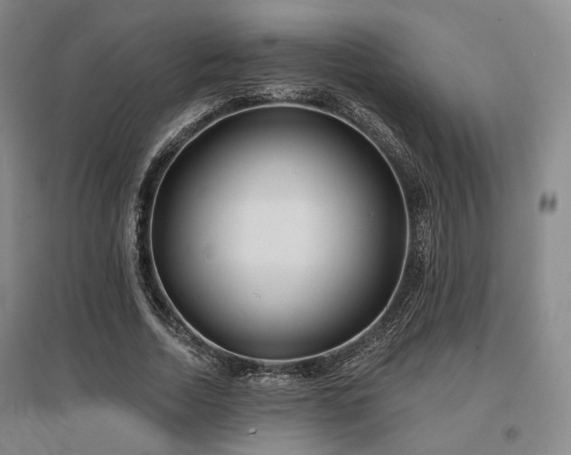 X0000097470730200802221235
