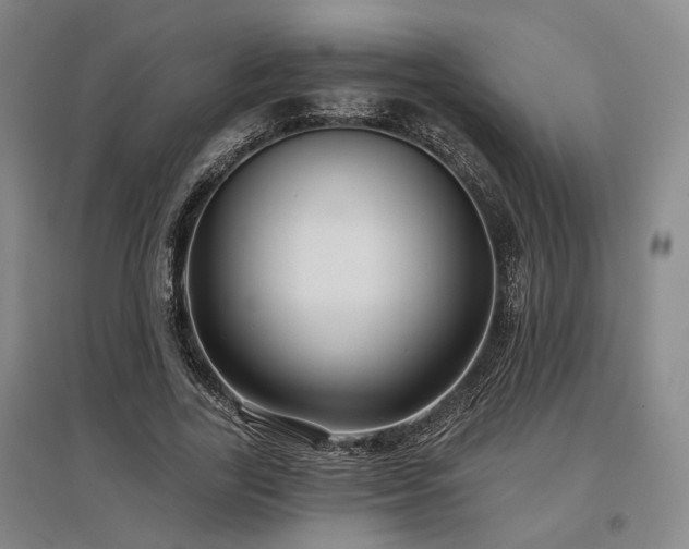 X0000097470731200802221235