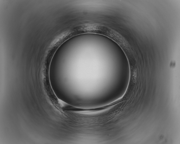 X0000097470732200802221235