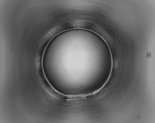 X0000097470733200802221235