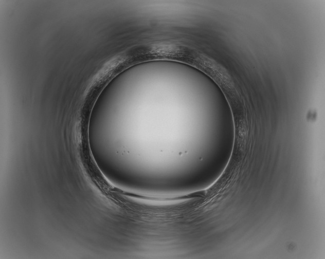 X0000097470734200802221235