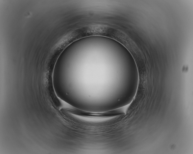 X0000097470735200802221235