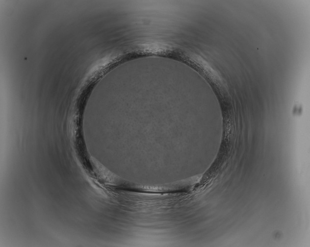 X0000097470736200802221235
