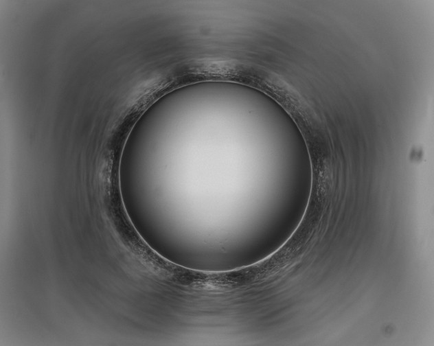 X0000097470739200802221235