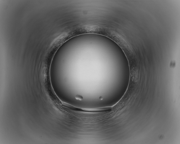 X0000097470740200802221235