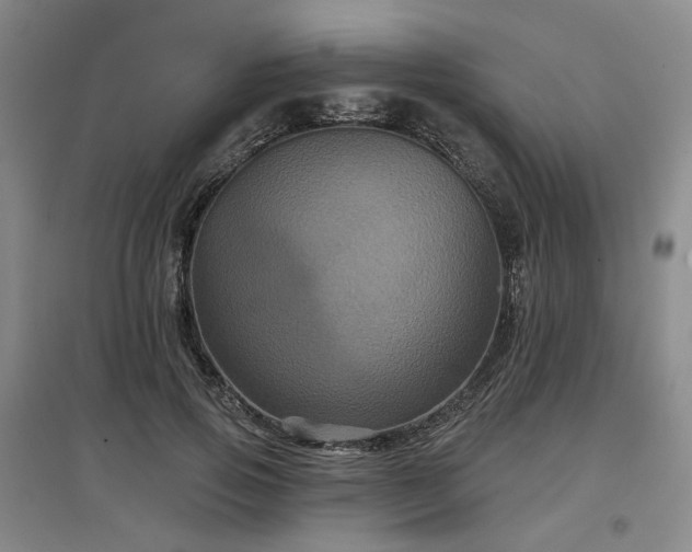 X0000097470741200802221235