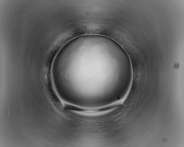 X0000097470742200802221235