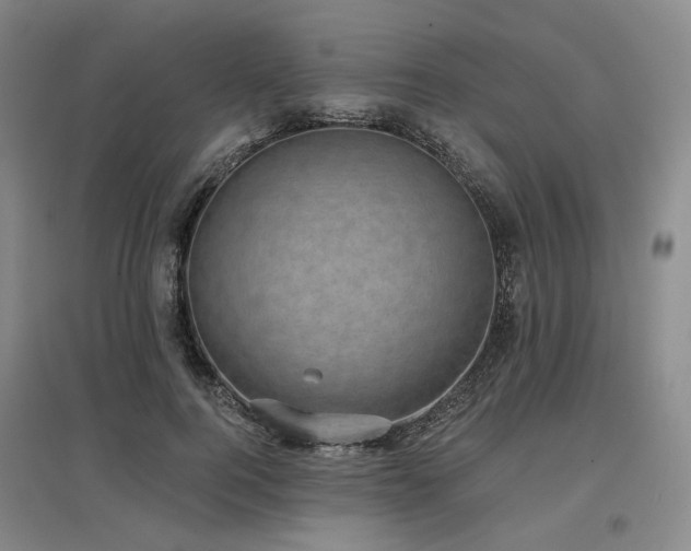 X0000097470744200802221235