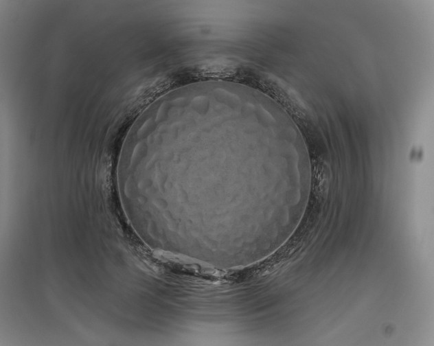 X0000097470745200802221235