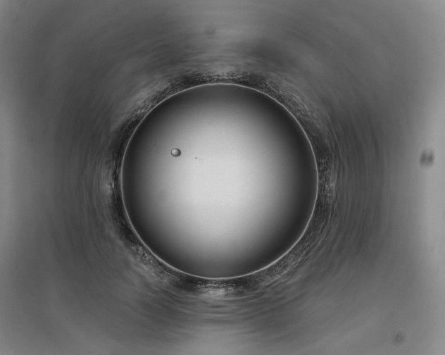 X0000097470746200802221235