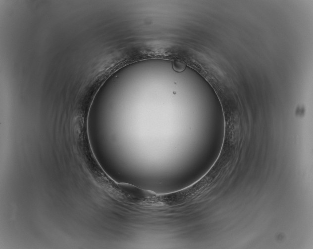 X0000097470747200802221235