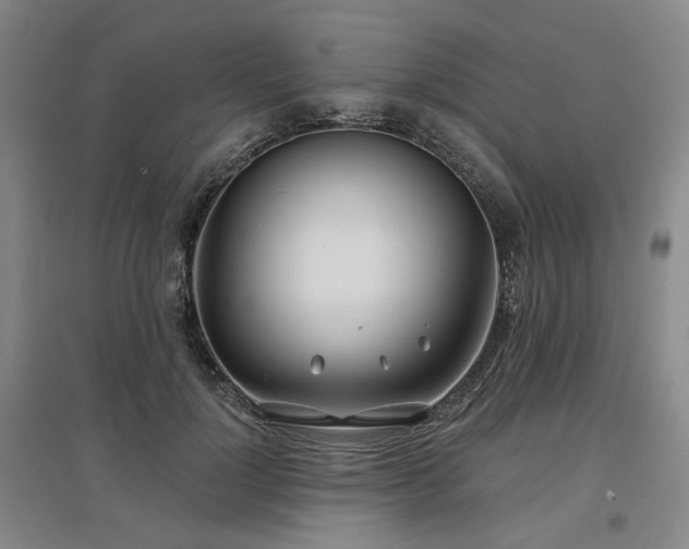 X0000097470748200802221235