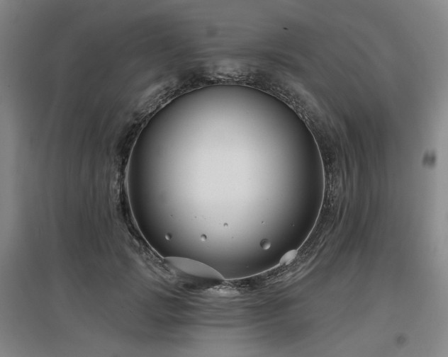 X0000097470749200802221235