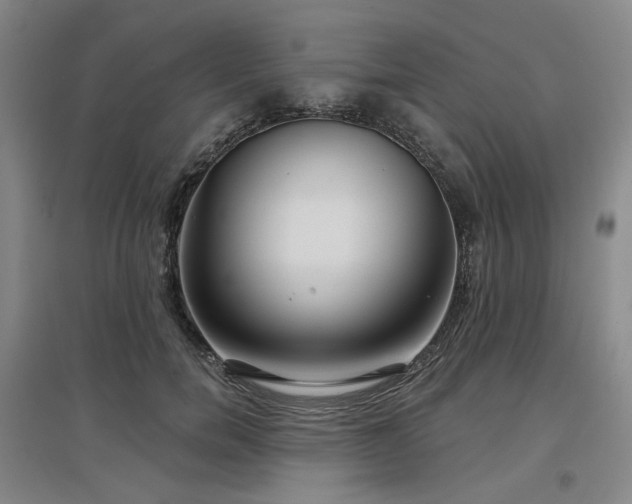 X0000097470750200802221235