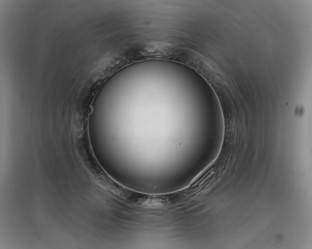 X0000097470751200802221235
