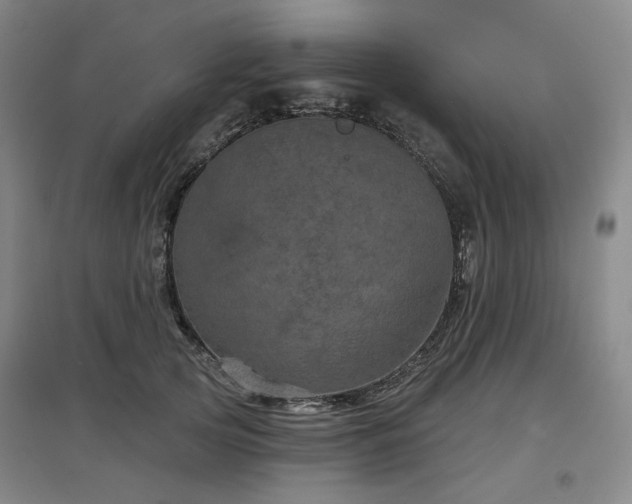 X0000097470753200802221235