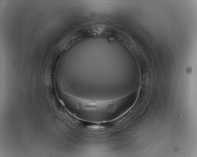 X0000097470754200802221235