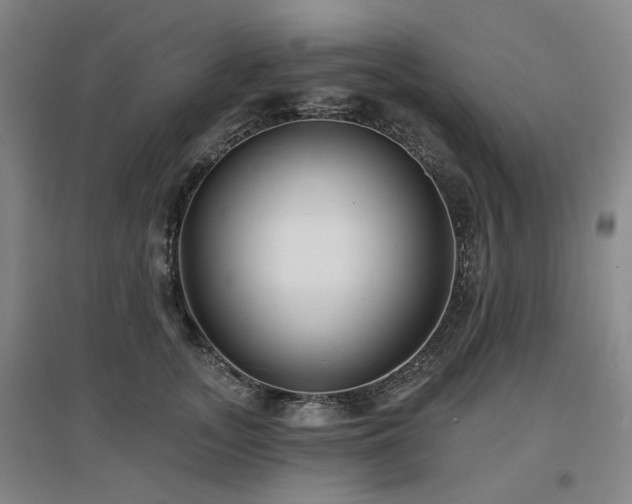 X0000097470755200802221235
