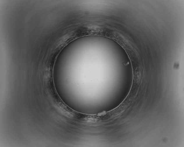 X0000097470756200802221235