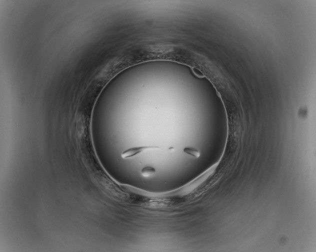 X0000097470758200802221235