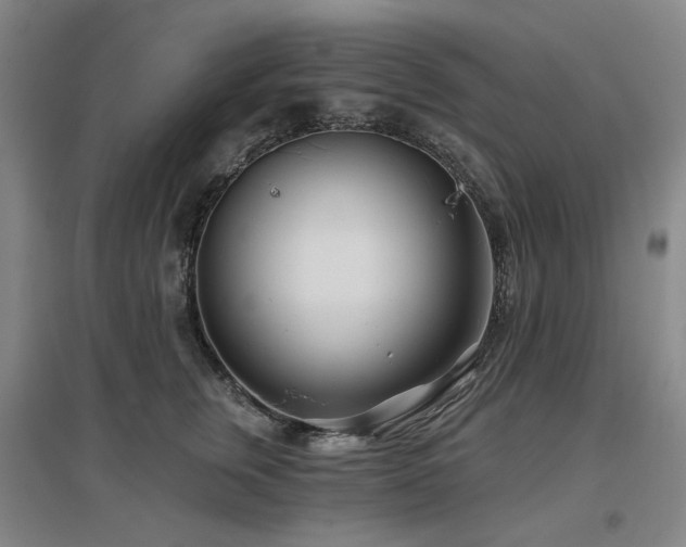 X0000097470759200802221235