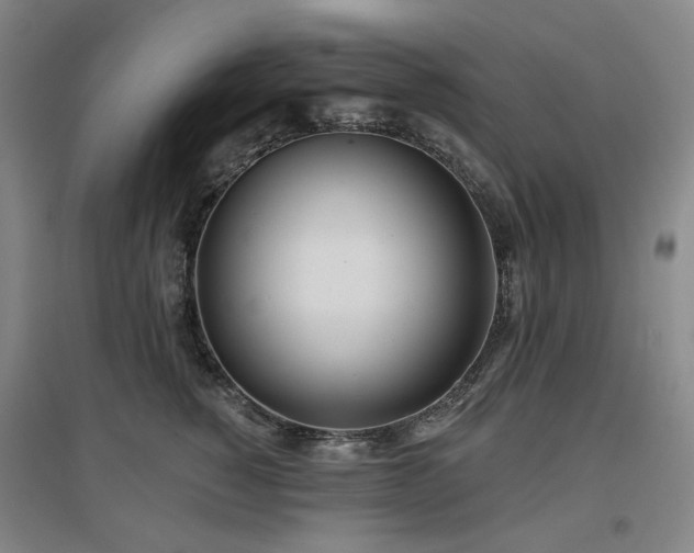 X0000097470760200802221235