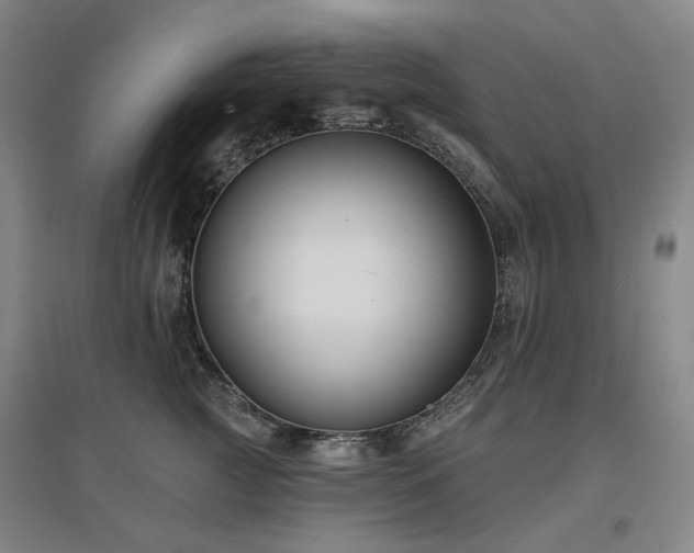 X0000097470761200802221235