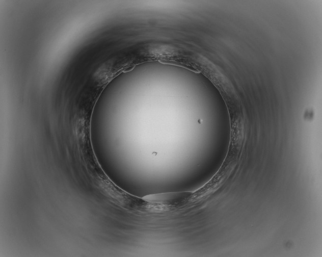 X0000097470762200802221235